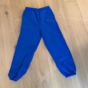 Aritzia Cobalt Blue Sweatpants